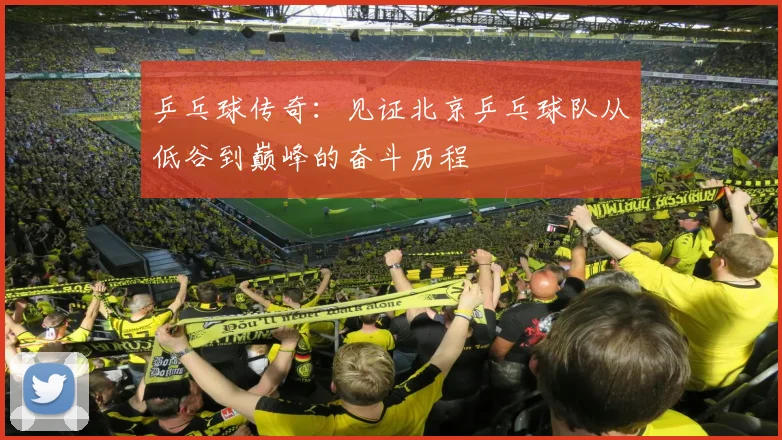 乒乓球传奇：见证北京乒乓球队从低谷到巅峰的奋斗历程