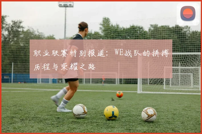 职业联赛特别报道：WE战队的拼搏历程与荣耀之路